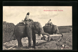 AK Ceylon, Arbeitselefanten Bei Der Arbeit  - Elephants