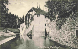 13979730 Hallwyl_Hallwil_AG Schloss Hallwyl - Altri & Non Classificati