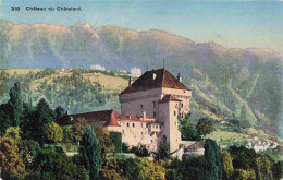 13979721 Clarens__Montreux_VD Chateau Du Chatelard - Other & Unclassified