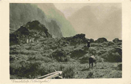 13979692 Grosshuetalp_Saentis_AR Panorama - Autres & Non Classés