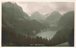 13979685 Saembtisersee_Saembtissee_IR Panorama - Autres & Non Classés