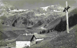 13979675 Alp_Sardona_SG Panorama Gipfelkreuz - Autres & Non Classés