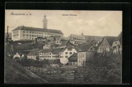 AK Gundelsheim A. N., Schloss Hornegg  - Autres & Non Classés