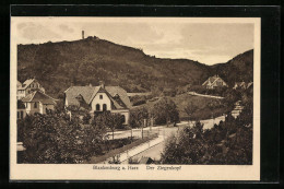 AK Blankenburg Am Harz, Der Ziegenkopf  - Blankenburg