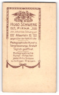 Fotografie Hugo Schwerg, Pirna, Albertstr. 13, Wappen Mit Zwei Greifen Und Monogramm Des Fotografen  - Anonymous Persons