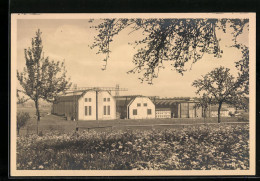 AK Friedrichshafen, Blick Auf Die Luftschiffwerft  - Zeppeline