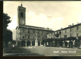 AB579 CINGOLI - PALAZZO COMUNALE - Other & Unclassified