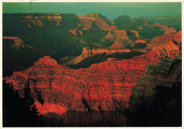 CPSM Grand Canyon-Timbre    L2963 - Gran Cañon