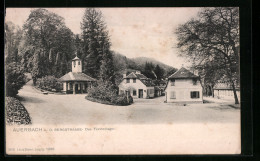 AK Auerbach A. D. Bergstrasse, Das Fürstenlager  - Sonstige & Ohne Zuordnung