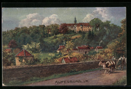 Künstler-AK Altenburg I. H., Schloss Mit Wald  - Sonstige & Ohne Zuordnung