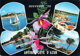 CPSM Souvenir De Antibes Côte D'Azur-Multivues    L2963 - Antibes - Vieille Ville