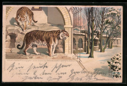 Lithographie Berlin, Grosses Raubtierhaus Im Zoologischen Garten, Tiger  - Other & Unclassified
