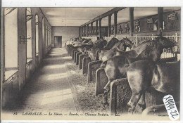 LAMBALLE- LE HARAS- ECURIE- CHEVAUX POSTIERS - Lamballe