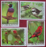 Uzbekistan  2023  Fauna  Birds  4 V   MNH - Ouzbékistan