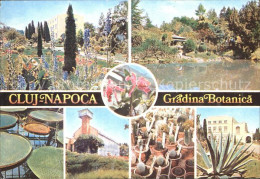 72328579 Cluj-Napoca Gradina Botanica Cluj-Napoca - Roemenië