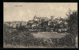 AK Bad Bentheim, Teilansicht Mit Schloss  - Bentheim