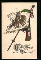 Präge-AK Heil Mein Vaterland!, Adler Mit Wappen Auf Fahne  - War 1914-18