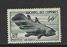 COMORES 1954 COELACANTHE YVERT N°13 NEUF MNH** - Unused Stamps
