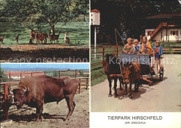 72326074 Hirschfeld Zwickau Tierpark Hirschfeld Damwildgehege Wisent Tip Pony Ru - Other & Unclassified