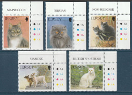 JERSEY 1994 CHATS CATS YT 639 A 643 NEUF** MNH - Jersey