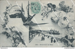 Cf154 Cartolina Souvenir De Nice Francia France - Autres & Non Classés