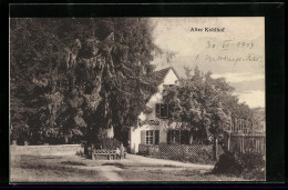 AK Heidelberg, Gasthaus Alter Kohlhof Mit Vorplatz  - Heidelberg