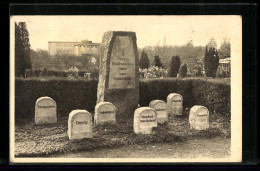 AK Stadthagen, Friedhof, Denkmal Für Ostdeutsche Gefallene Des BvD Schaumburg-Lippe  - Stadthagen