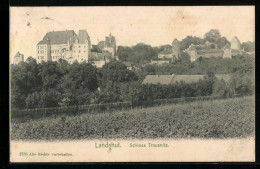 AK Landshut, Blick Auf Schloss Trausnitz  - Landshut