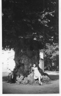 Photographie Photo Anonyme Vintage Snapshot Biscarosse Femme Arbre Tree - Lieux
