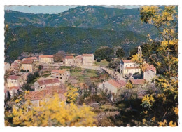 OLIVESE Le Village (carte Photo) - Altri & Non Classificati