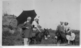 Photographie Photo Anonyme Vintage Snapshot âne Donkey Ombrelle Mule - Other & Unclassified