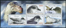 French Antarctic Territory 2009 Birds, Petrel S/s, Mint NH, Nature - Birds - Unused Stamps