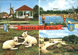 72323090 Ermelo Freibad Schafe Muehle Duenen Ermelo - Autres & Non Classés