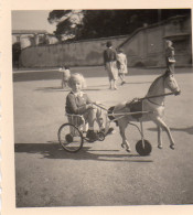 Photographie Photo Anonyme Vintage Jouet Toy Cheval Pédales - Personnes Anonymes