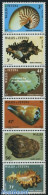 Wallis & Futuna 1985 Shells 6v [:::::], Mint NH, Nature - Shells & Crustaceans - Meereswelt
