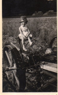 Photographie Photo Anonyme Vintage Baville Tracteur Champ Fillette - Personnes Anonymes