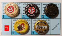 5 Capsules De Bière   Lot N° 29-1 - Birra
