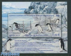 French Antarctic Territory 2013 Penguin S/s, Mint NH, Nature - Birds - Penguins - Unused Stamps