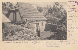 Madeira: 1901: Post Card To Herford - Madeira