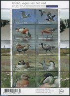 Netherlands 2016 Birds From Griend Island 10v M/s, Mint NH, Nature - Birds - Ducks - Ongebruikt