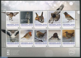 Netherlands - Personal Stamps TNT/PNL 2017 Birds In Winter 10v M/s S-a, Mint NH, Nature - Birds - Owls - Autres & Non Classés