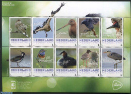 Netherlands - Personal Stamps TNT/PNL 2017 Birds In Spring 10v M/s S-a, Mint NH, Nature - Birds - Other & Unclassified