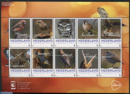 Netherlands - Personal Stamps TNT/PNL 2017 Birds In Autumn 10v M/s S-a, Mint NH, Nature - Birds - Birds Of Prey - Owls - Other & Unclassified