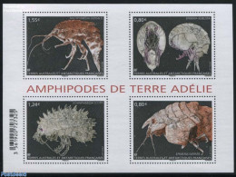 French Antarctic Territory 2017 Amphipods S/s, Mint NH, Nature - Animals (others & Mixed) - Crabs And Lobsters - Unused Stamps