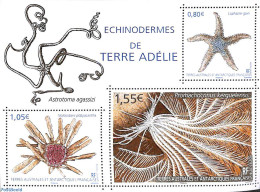 French Antarctic Territory 2018 Echinodermes Of Terre Adélie S/s, Mint NH - Nuovi