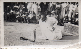 Photographie Photo Anonyme Vintage Snapshot Afrique Charmeur Serpent Snake - Sonstige & Ohne Zuordnung