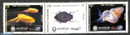New Caledonia 2018 Museum Revisitee 3v [::], Mint NH, Nature - Insects - Shells & Crustaceans - Art - Museums - Ongebruikt