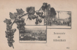 83 / SOUVENIR DE VIDAUBAN / RAISIN / ELD - Vidauban