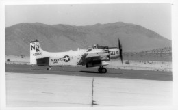 Photographie Photo Vintage Snapshot Avion Aviation Plane Skyraider - Aviation