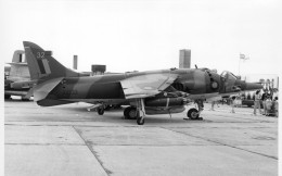 Photographie Photo Vintage Snapshot Avion Aviation Plane Harrier GR3 - Aviazione